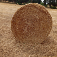 Prato natura e paglia