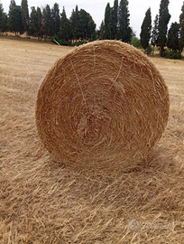 Prato natura e paglia