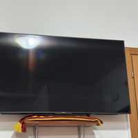 Televisore Bravia 55”