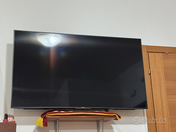 Televisore Bravia 55”