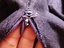 Immagine 6