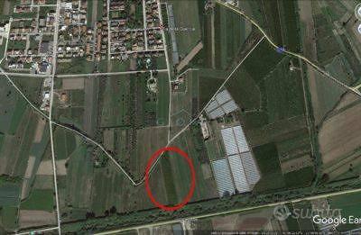 Terreno di 6000 m² a Mondragone - Altro