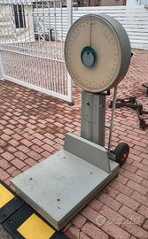 Bilancia pesa professionale bilici 20kg grammi