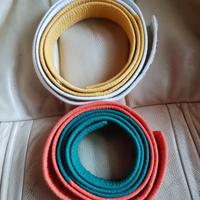 Cinture bicolore da karate