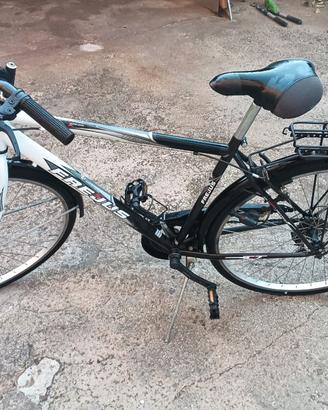 Bicicletta trekking uomo