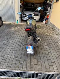 Voge Trofeo 300 - 2021