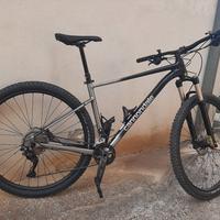 bicicletta mtb cannondale 