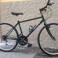 Mountain Bike MTB Cascella