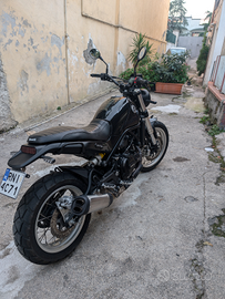 Benelli Leoncino Trail 500