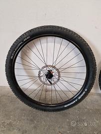 Ruota MTB 29" Rodi + Schwalbe + Disco Shimano 180