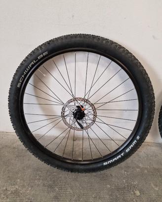 Ruota MTB 29" Rodi + Schwalbe + Disco Shimano 180