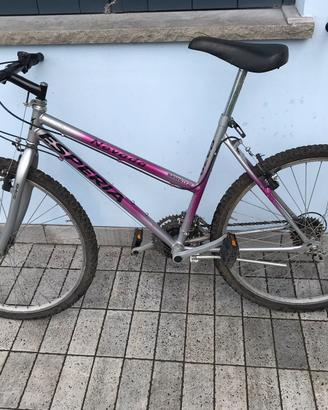Mountainbike