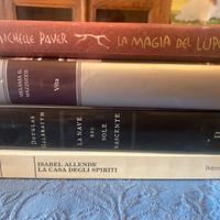 Lotto di 10 libri romanzi e narrativa (m