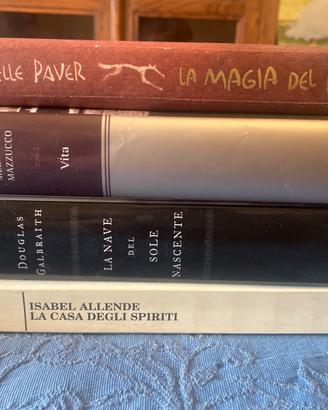 Lotto di 10 libri romanzi e narrativa (m