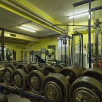 Palestra