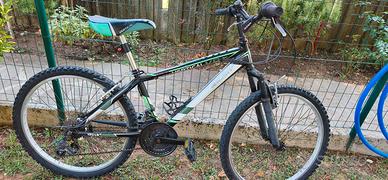 Bicicletta bambino/a