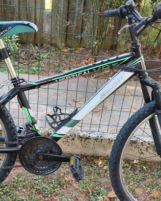 Bicicletta bambino/a