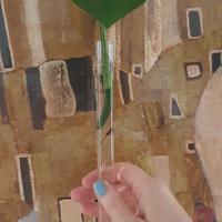 photos 1 foglia con radice