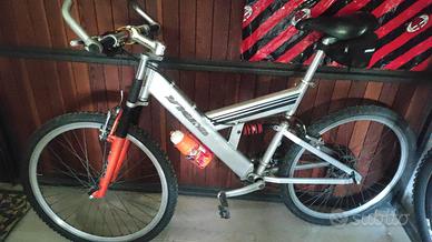 Bicicletta marca Vicini