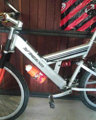 Bicicletta marca Vicini