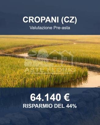 Immobile in asta di 33540 m² a Cropani