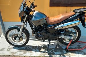 Honda 650 dominator scrambler