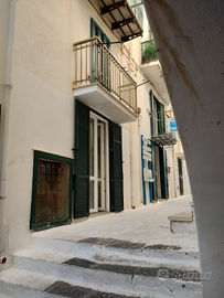 Ponza Appartamento zona centrale Isola di Ponza