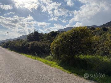 Ampio Terreno Boschivo di 18ettari a Pula