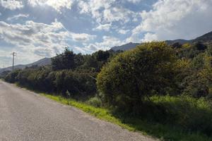 Ampio Terreno Boschivo di 18ettari a Pula