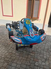 Tillotson T4 mod. 2024