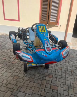Tillotson T4 mod. 2024