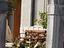 Immagine 5