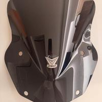Cupolino bmw gs 1200 / 1250
