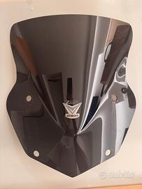 Cupolino bmw gs 1200 / 1250