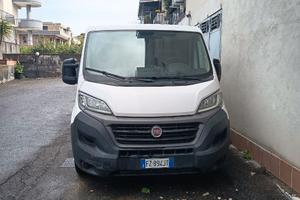 fiat ducato 2.3 multijet  35 , anno 2020