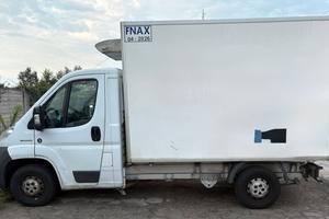 Fiat ducato atp isotermico frigo fnax