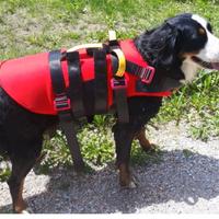 Salvagente/ giubbotto salvataggio per cane