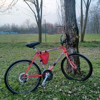 Mountain bike Olympia Leopard