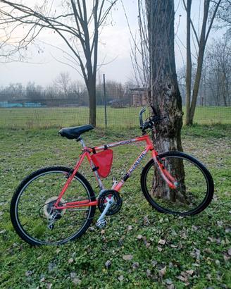 Mountain bike Olympia Leopard
