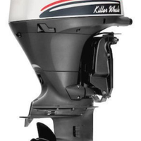 Fuoribordo selva killer whale