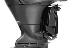 Fuoribordo selva killer whale