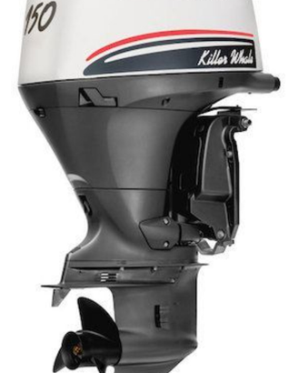 Fuoribordo selva killer whale