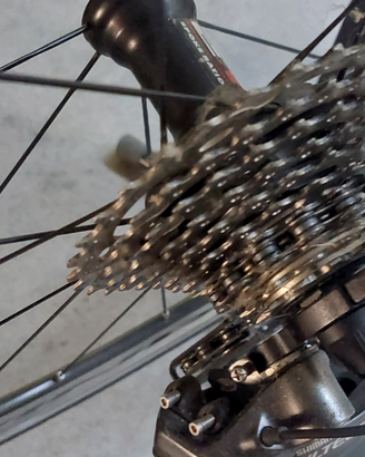 Bici da Corsa Bianchi