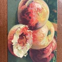 Cartolina artistica d’epoca- serie velluto T.A.M