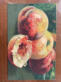 Cartolina artistica d’epoca- serie velluto T.A.M