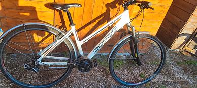 Carraro bici donna 
