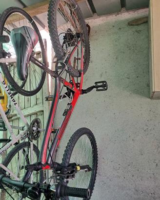 Mtb lombardo