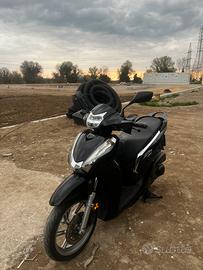 Honda Sh300i Targa Polacca!
