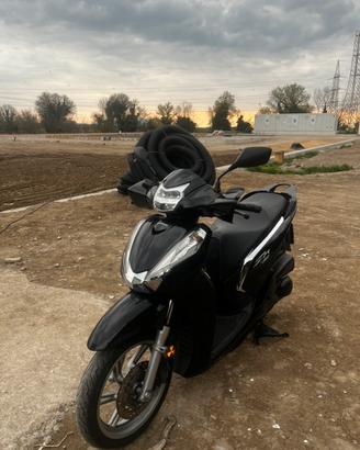 Honda Sh300i Targa Polacca!