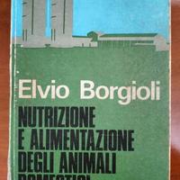 Zootecnica generale e speciale, Zoognostica